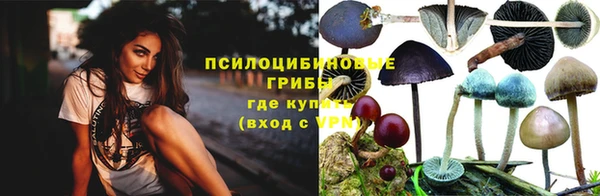 индика Белоозёрский