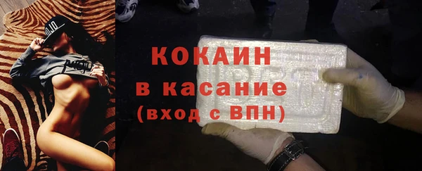 индика Белокуриха