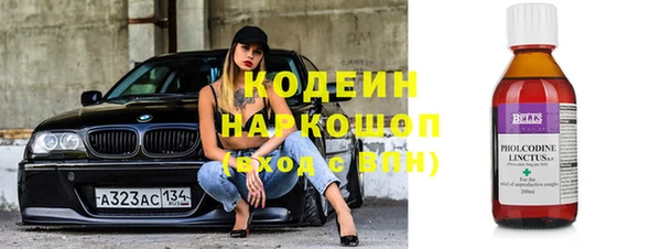 индика Белокуриха