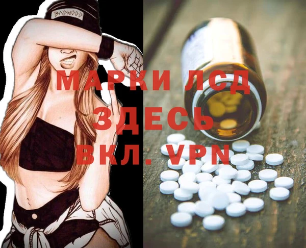 индика Белокуриха