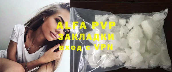 индика Белоозёрский