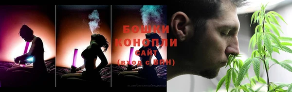 индика Белокуриха