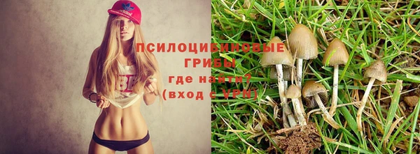 прущая мука Беломорск