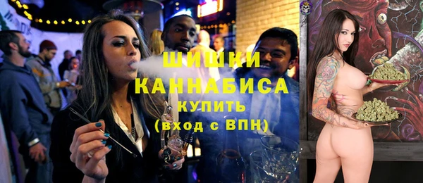 индика Белоозёрский