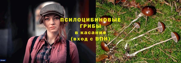 индика Белоозёрский