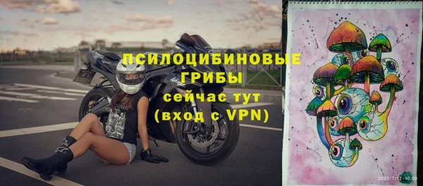 индика Белоозёрский