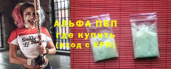 индика Белоозёрский
