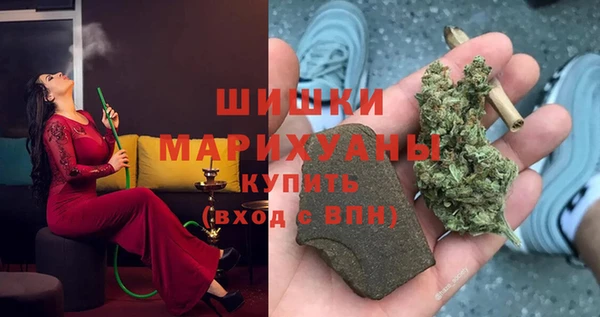 индика Белокуриха