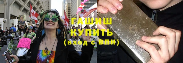 индика Белокуриха