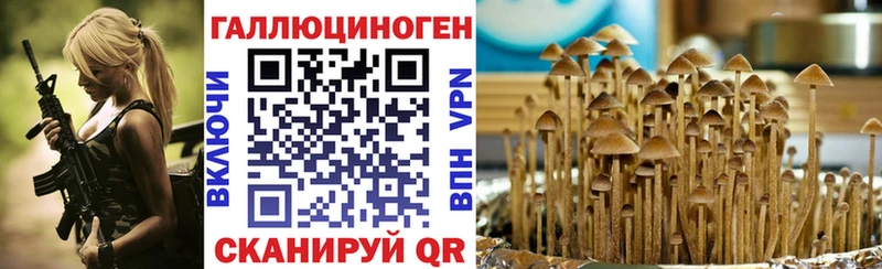 МЕГА ТОР  Ялуторовск  Псилоцибиновые грибы MAGIC MUSHROOMS 